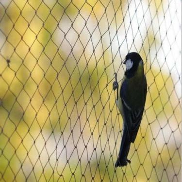 Imagem de Rede Anti-Pássaros Extra Grande 10M 15M 25M 35M Em Nylon Para Controle