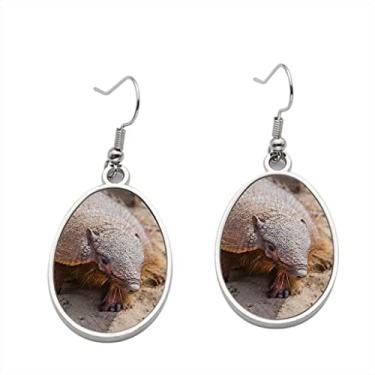 Imagem de Brinco Armadillo da Península Valdez Patagonia Argentina - Brincos pendentes para meninas - Presente de festa de aniversário dos namorados