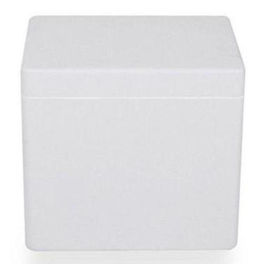 Imagem de Caixa Térmica Parede Tripla Feita Em Eps Isopor 20 L