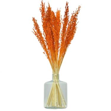 Imagem de Arranjo de Flores Desidratadas Capim Laranja + Vaso de Vidro