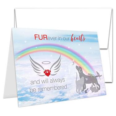 Imagem de Cartão de simpatia para animais de estimação TLC Safety By Design, ponte de arco-íris, condolência para cães, gatos, coelhos de 12,7 cm x 17,78 cm, cartão e envelope com lista de chamadas de emergência gratuita, 1 Card & Envelope