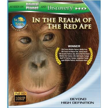 Imagem de Wild Asia 1: In the Realm Of The Red Ape [Blu-ray]