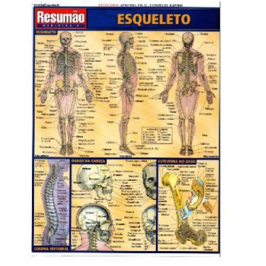 Imagem de Resumão Esqueleto - BFeA