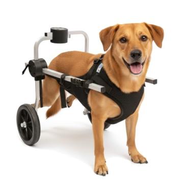 Imagem de Cadeira de 2 Rodas Para Cachorro Tam M com Colete Preto Regulável Pata Traseira Paraplegia Reabilitação Paralisia Idoso Pet Best Soluções