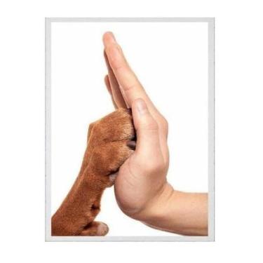 Imagem de Quadro Fotografia Mão E Pata 33X24 Com Vidro Madeira Branca - Quadros 