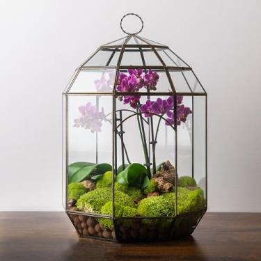 Imagem de SuperMoss Terrário de vidro (90406) – Plantador de vidro moderno para plantas de interior, suculentas, plantas aéreas e kits de terrário DIY, 27 x 37 cm, solário