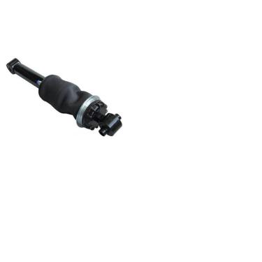 Imagem de Amortecedor Com Bolsa Ar Suspensão Cabine Traseiro Stralis