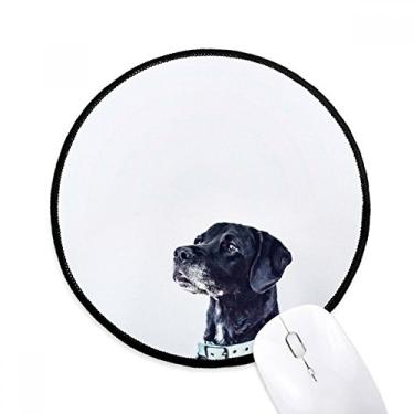 Imagem de Tapete de rato branco para fotografia de animais de estimação, tapete redondo para computador