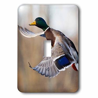 Imagem de 3dRose Interruptor de botão único Mallard Drake lsp_228414_1