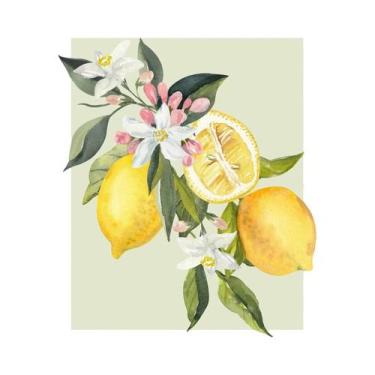 Imagem de Arte De Parede Em Lona Com Frutas Laranja E Limão De Santorini, Pôster