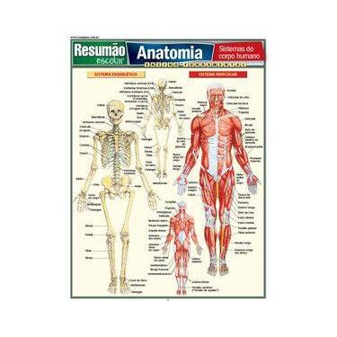 Imagem de Resumão Anatomia, sistemas do corpo humano por Vicente Perez