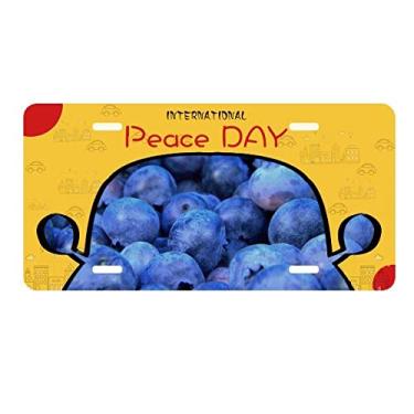 Imagem de DIYthinker Placa de licença com imagem de frutas tropicais de mirtilo fresco para decoração de carro Dia da Paz