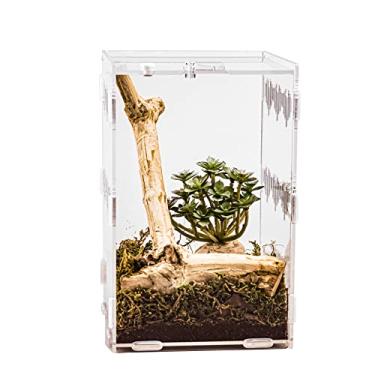 Imagem de 15 cm x 15 cm x 23 cm Caixa de terrário grande de acrílico para pequenos répteis, anfíbios, aranhas, tarântula, lagartixa, caracol, louva-a-deus, milípede, centopéia, isópodes (arbóreo)