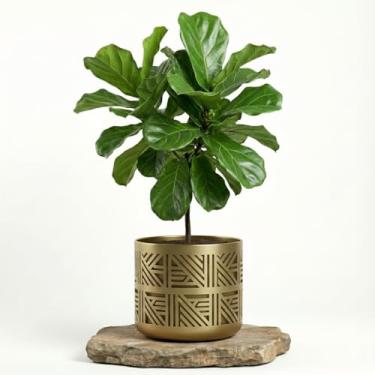 Imagem de Genérico, Vaso Cônico Decorativo, Uso Interno, GG, Branco, Barro, Vaso de Chão, Redondo, Chão, Vaso de Plantas, 11x12x10 cm