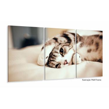 Imagem de Quadros Decorativos Gato Fofo 3 peças 120x60 cm em Tecido