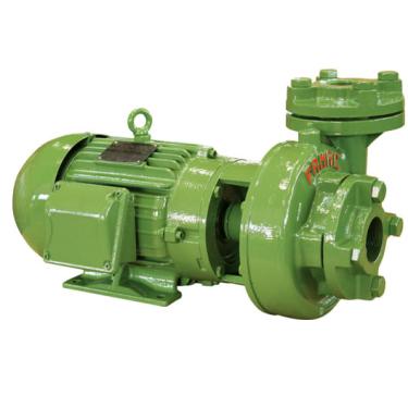 Imagem de Motobomba Monofásica F7B-R 2,0CV Rotor 142mm 110/220V IP21 Cod. 4041.2090 – Famac