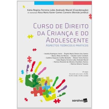 Imagem de Livro Curso De Direito Da Criança E Do Adolescente Katia Regina Ferrei