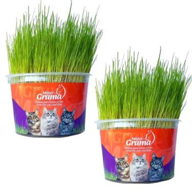 Imagem de Graminha Para Gatos Elimina Bola De Pelo Kit Com 2 UN - Mister