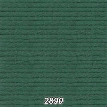 Imagem de Linha DMC Cotton Retors Mat (Fosca) 10m - 3, 2890