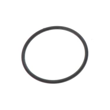 Imagem de Vedação termostato