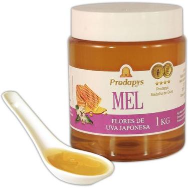 Imagem de Mel Flores de Uva Japonesa 1kg - Prodapys