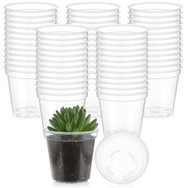 Imagem de Yaomiao Mini vaso de plástico para berçário, mudas para iniciantes, com orifícios de drenagem para transplante de plantas suculentas de jardim interno e externo (10 cm, transparente, 30 peças)