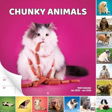 Imagem de Calendário de parede super fofo e hilário de 14 meses de animais grossos 2021-2022. Presente grande de 30,5 x 30,5 cm para homens e mulheres. Meia divertida, decoração de escritório, ou elefante branco ideia para amantes de animais