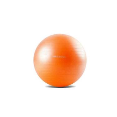 Imagem de Bola de exercícios 55cm laranja hidrolight