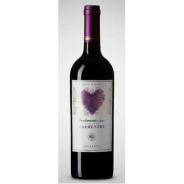 Imagem de Vinho sentimiento por carmenere reserva 750ml chile - Sentimento