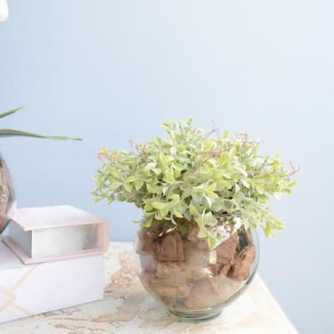Imagem de Arranjo Peperômia Artificial no Vaso de Vidro P  Formosinha