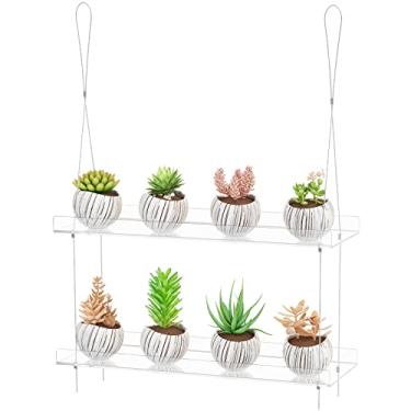 Imagem de Prateleiras de acrílico para pendurar plantas de 2 camadas – Prateleiras de acrílico transparente com altura ajustável para janelas – perfeitas para jardins internos, vitrines de cozinha de flores, plantas suculentas e crescimento de mudas