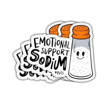Imagem de Adesivo de sódio com suporte de emoção 3psc, adesivo Stay Salty Pots, adesivos de conscientização de disautonomia de 7,6 cm para laptop, garrafa de água, carro, telefone, capacete, janela, caderno