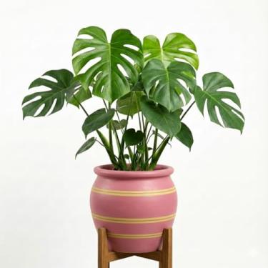 Imagem de Genérico Artesanal, Uso Interno, Tamanho M, Verde, Palha Taboa, Vaso para Plantas, Redondo, Trançado, Cachepot, 11x12x10 cm