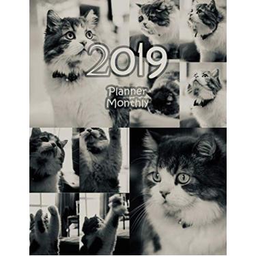 Imagem de 2019 planner monthly