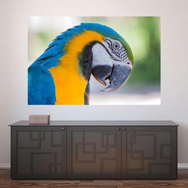Imagem de Painel Adesivo de Parede - Arara-Canindé - 782png - Allodi