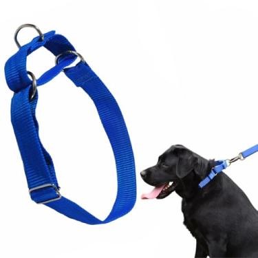 Imagem de Coleira Belga Enforcador Cor:Azul