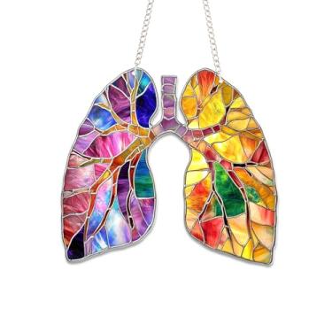 Imagem de Bob22store Suncatcher estilo vitral pulmões - pendurar janela acrílica de 15,2 cm - Decoração anatômica colorida para casa ou escritório - Ornamento plano 2D presente para amigos e amantes da medicina