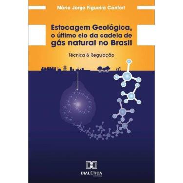 Imagem de Estocagem Geológica, O Último Elo Da Cadeia De Gás Natural No Brasil - Português