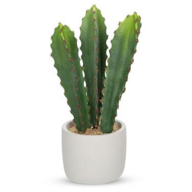 Imagem de Cacto artificial DILATATA Euphorbia Accruensis 17 cm com vaso
