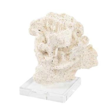 Imagem de Coral Folha de Alface Decoração de mesa Resina Creme Base - LUXdécor