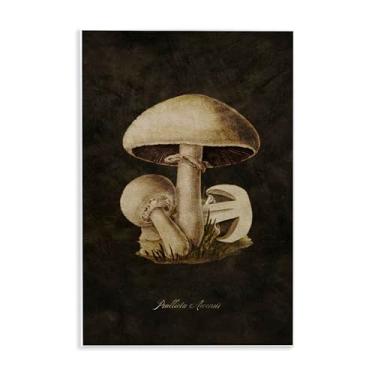 Imagem de Stupell Industries Design de arte de parede de estudo de cogumelo Portobello por Tina Higgins Designs, Inc., 13 x 19