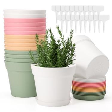 Imagem de GREANER Vasos de 15 cm para plantas, 16 pacotes de vasos de mudas com orifícios de drenagem e bandeja, vasos de plástico para plantas, suculentas, ervas, orquídeas, mudas, flores (multicoloridas)