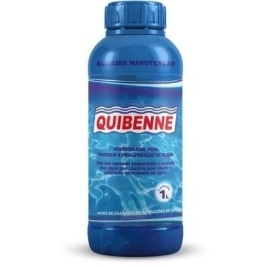 Imagem de Algicida Manutencao 1l Quibenne