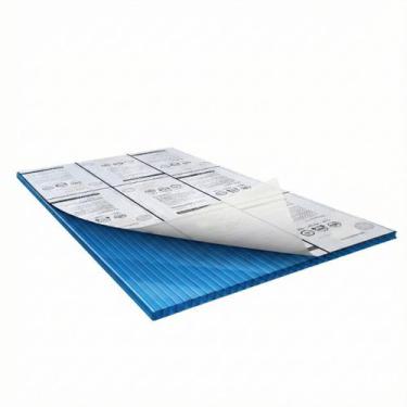 Imagem de Chapa Placa Policarbonato Alveolar 4mm x 2,10 x 2m - Cores Cor:Azul - 