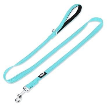 Imagem de PUPTECK Coleira refletiva para cães com alça acolchoada confortável, guia de nylon durável para cães pequenos, médios e grandes, gatos, caminhando, corrida, treinamento, exterior, azul claro