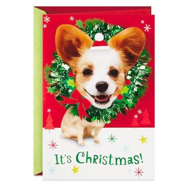 Imagem de Hallmark Cartão musical de Natal (Dogs, We Wish You a Merry Christmas)