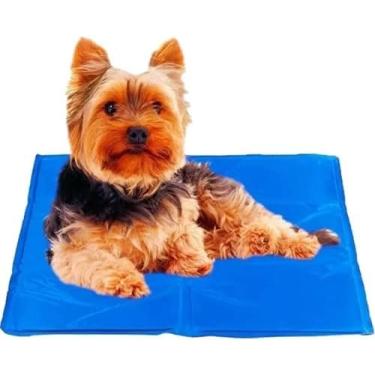 Imagem de Tapete Refrescante Gelado 40x50cm Para Cachorro Gato Cão Pet Raças Pequenas Filhotes Pet Caminha Premium Conforto Alívio Térmico Durável Resistente (Cores Sortidas)
