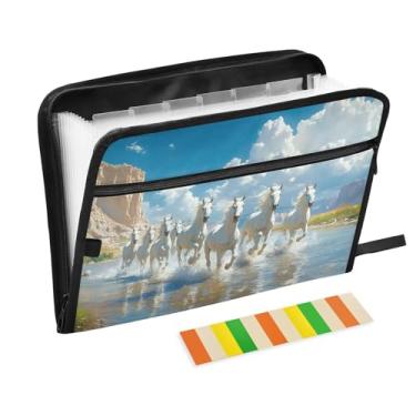 Imagem de CEBUGI Pasta expansível com 13 bolsos, organizador de arquivos sanfonado à prova d'água com etiquetas tamanho A4, organizador de documentos de papel para escola, material de escritório, cavalos