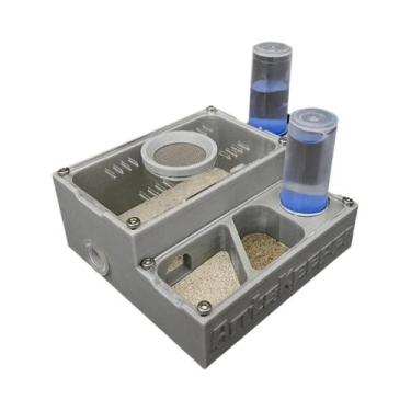 Imagem de Formigueiro Com Alimentador De Água Para Nova Rainha E Colônia De Form