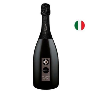 Imagem de Espumante Italiano Terra Vizina Millesimato DOC Extra Dry